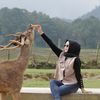 fitriiapriliany