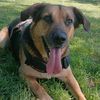 vani_seba_08_19