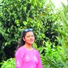 519purnima