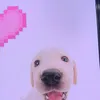 vladtiktok052