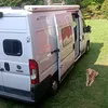 vandito81