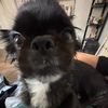 zthundy_