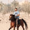 stable_sharifs2