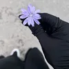 namoyak___