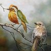 saif_sy_10