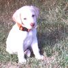 jacob200698