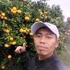 tianjeruk