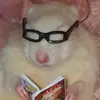 lox_pox