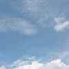 not_name_019