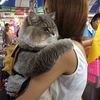 kakak..adik49