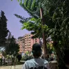ahmed112223
