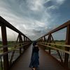 j_al_8