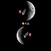 tofi_334455