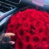 danah_q81