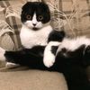 anna_anna0283