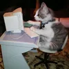 programandoerrado