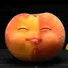 tx_devkira
