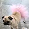 francke_17