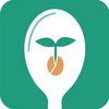 From Seed to Spoon