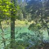 fritzia_a18