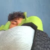 bananaugabuga
