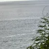 elhipulan