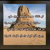 mahmoud17314