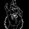 noxis32