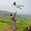 aliabdullah66666