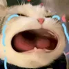 lyxinhiuuucute