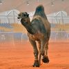 abdalmjeed047