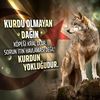 yalnizkurt986