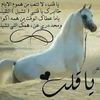 user9543862743360