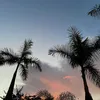 pedrophelipe____