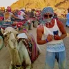 dillonpj