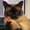 kf.0_6