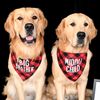 Golden Arlo and Cheech