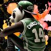 chocolitpanda