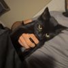 avneet_nahal