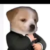 n_thanhtu9