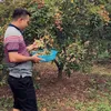 thanhhiep63