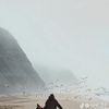 bayanalsayed85