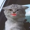hehaihuoc_