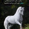 aaaa112255