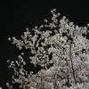 7z.gs