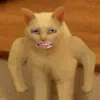 felipe10anos