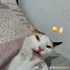 jjoaocs_