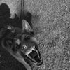 kill444tristan
