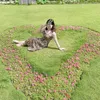 annatran136