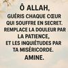 asaaldalaadreerboqor20